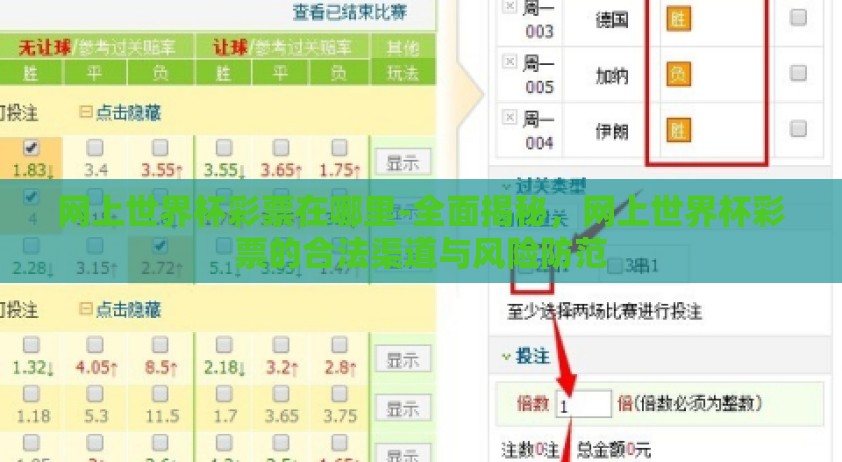 网上世界杯彩票在哪里-全面揭秘，网上世界杯彩票的合法渠道与风险防范
