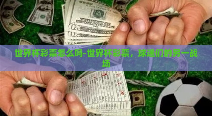 世界杯彩票怎么吗-世界杯彩票，球迷们的另一战场