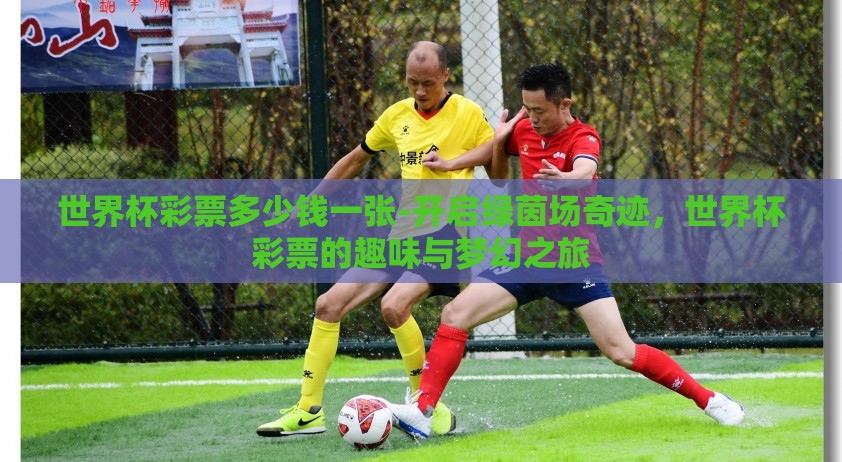 世界杯彩票多少钱一张-开启绿茵场奇迹，世界杯彩票的趣味与梦幻之旅