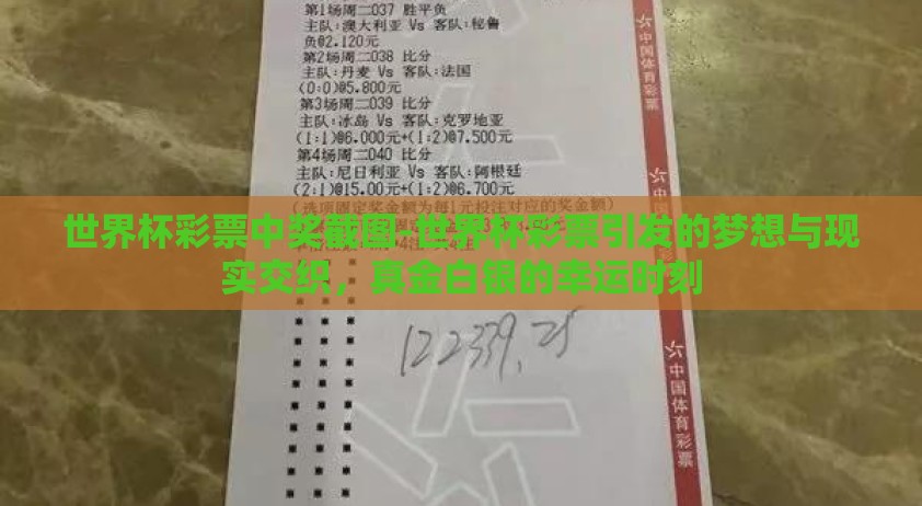 世界杯彩票中奖截图-世界杯彩票引发的梦想与现实交织，真金白银的幸运时刻