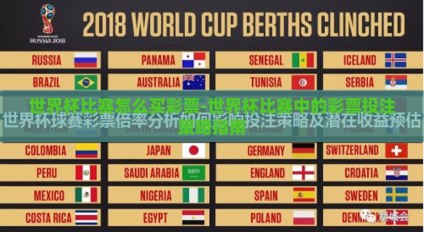 世界杯比赛怎么买彩票-世界杯比赛中的彩票投注策略指南