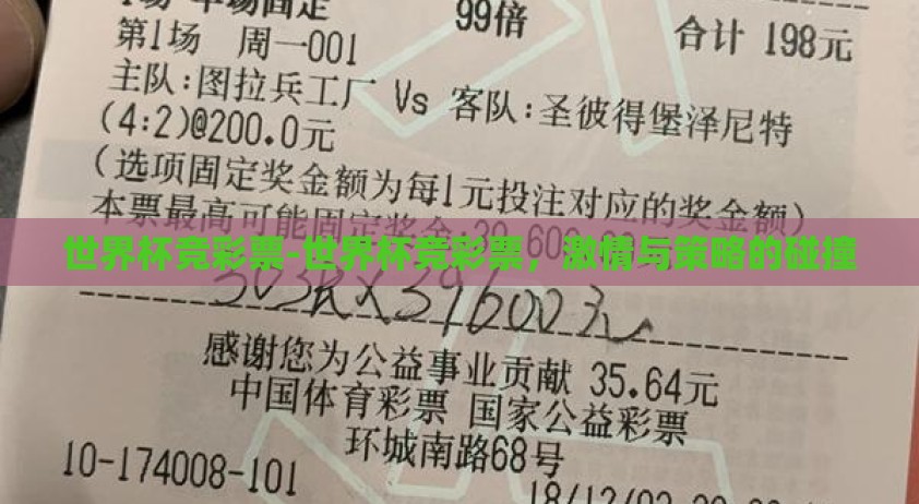 世界杯竞彩票-世界杯竞彩票，激情与策略的碰撞