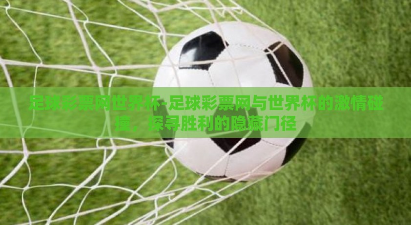 足球彩票网世界杯-足球彩票网与世界杯的激情碰撞，探寻胜利的隐藏门径