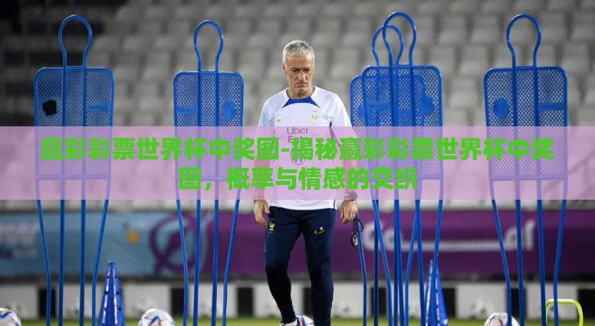 赢彩彩票世界杯中奖图-揭秘赢彩彩票世界杯中奖图，概率与情感的交织