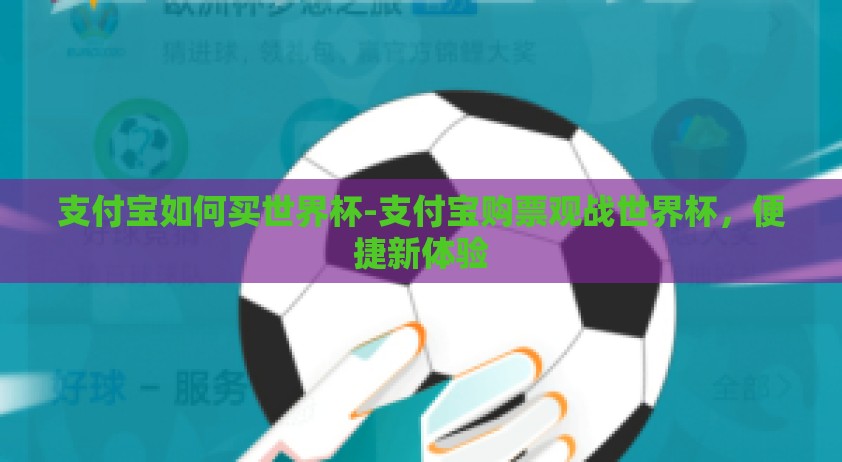 支付宝如何买世界杯-支付宝购票观战世界杯，便捷新体验