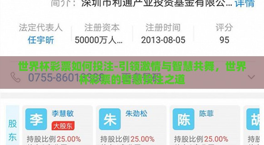 世界杯彩票如何投注-引领激情与智慧共舞，世界杯彩票的智慧投注之道