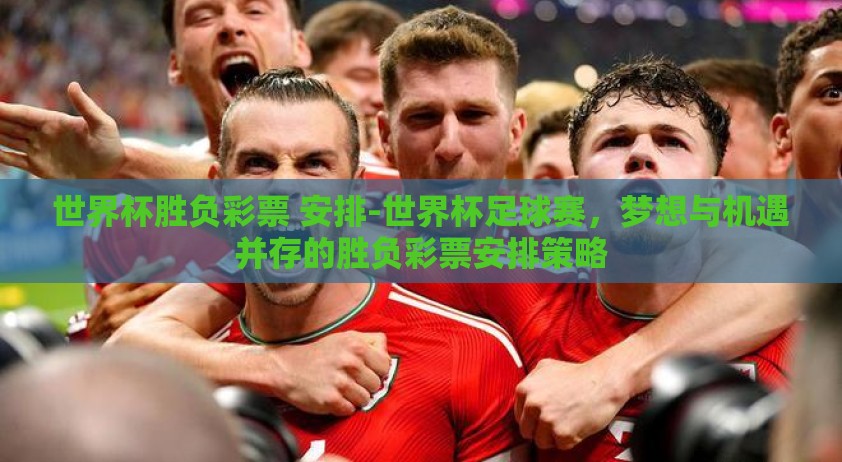 世界杯胜负彩票 安排-世界杯足球赛，梦想与机遇并存的胜负彩票安排策略