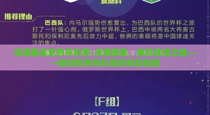 在哪里买世界杯彩票-点燃激情，体验竞技之巅——解锁世界杯彩票的购买指南