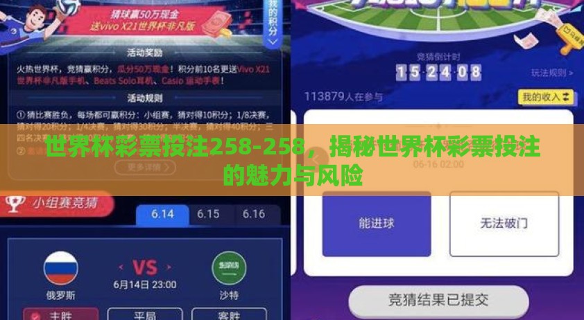 世界杯彩票投注258-258，揭秘世界杯彩票投注的魅力与风险