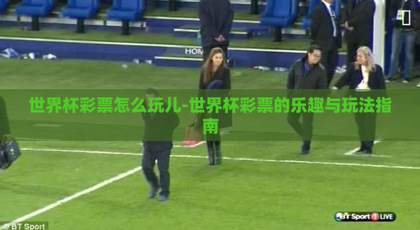 世界杯彩票怎么玩儿-世界杯彩票的乐趣与玩法指南
