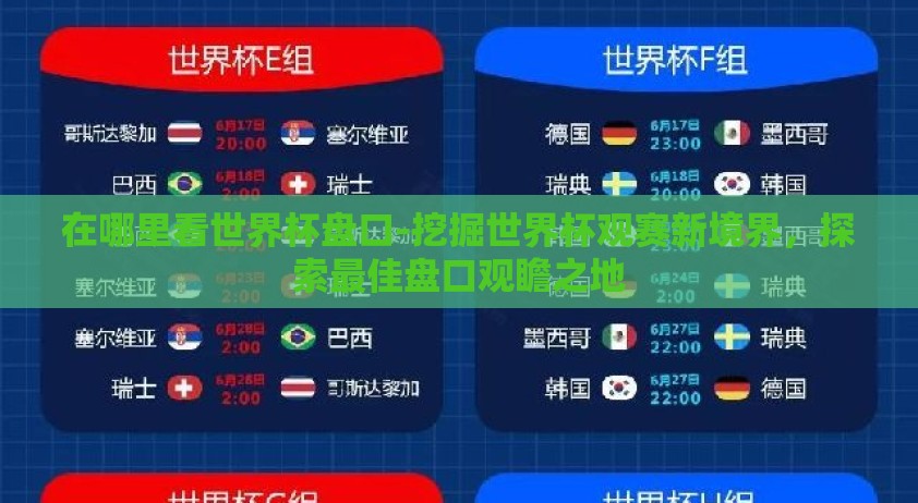 在哪里看世界杯盘口-挖掘世界杯观赛新境界，探索最佳盘口观瞻之地