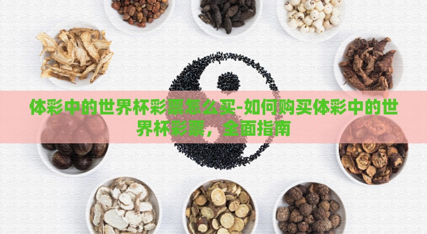 体彩中的世界杯彩票怎么买-如何购买体彩中的世界杯彩票，全面指南