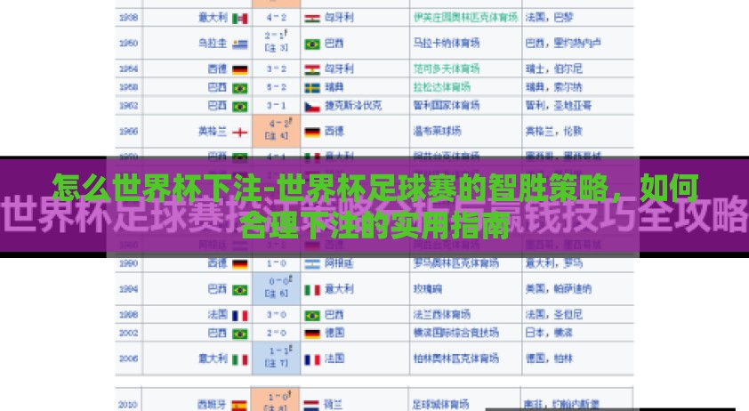 怎么世界杯下注-世界杯足球赛的智胜策略，如何合理下注的实用指南