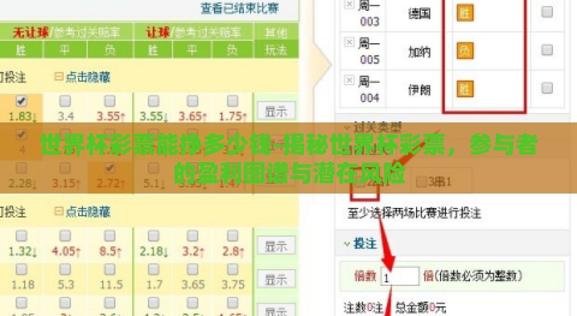 世界杯彩票能挣多少钱-揭秘世界杯彩票，参与者的盈利图谱与潜在风险