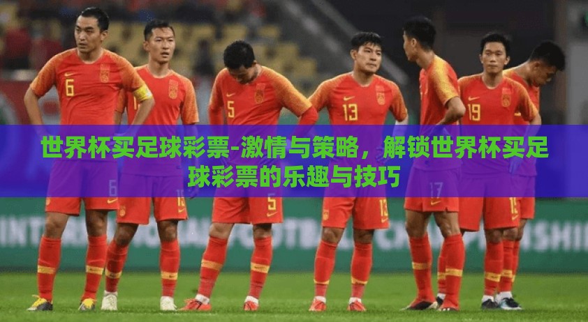 世界杯买足球彩票-激情与策略，解锁世界杯买足球彩票的乐趣与技巧