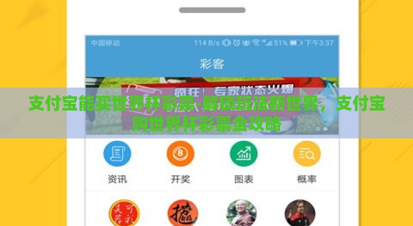 支付宝能买世界杯彩票-解锁玩法新世界，支付宝购世界杯彩票全攻略