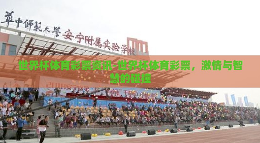 世界杯体育彩票资讯-世界杯体育彩票，激情与智慧的碰撞