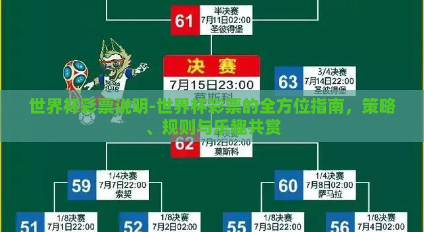 世界杯彩票说明-世界杯彩票的全方位指南，策略、规则与乐趣共赏