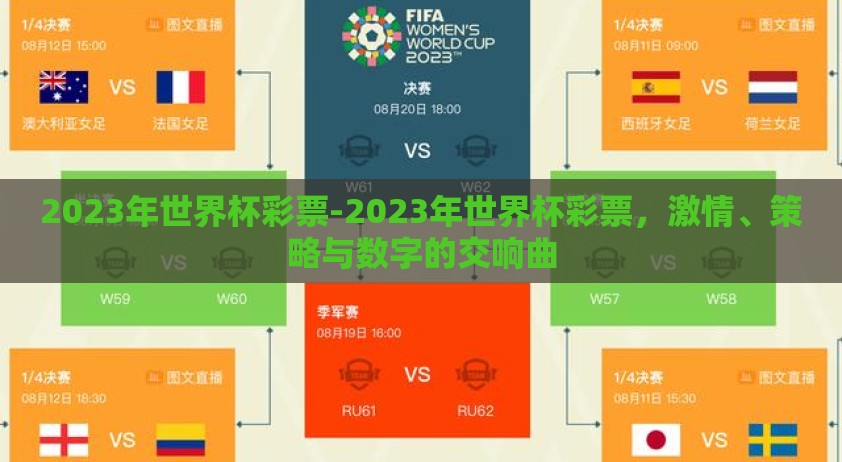 2023年世界杯彩票-2023年世界杯彩票，激情、策略与数字的交响曲