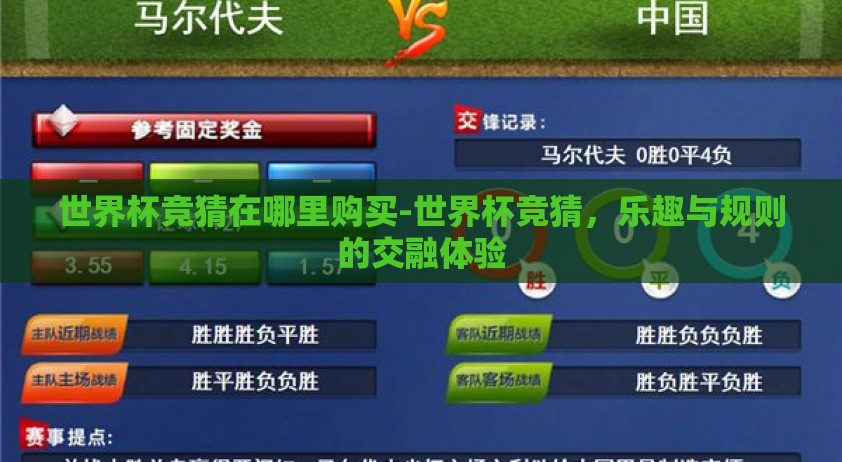 世界杯竞猜在哪里购买-世界杯竞猜，乐趣与规则的交融体验
