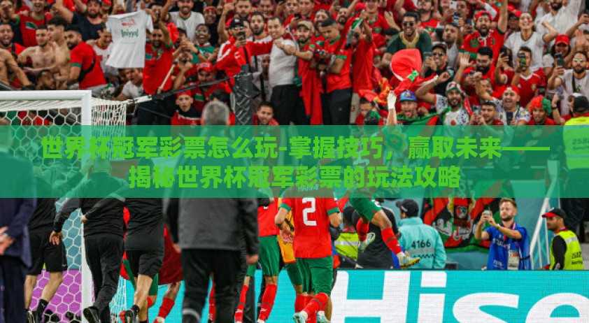 世界杯冠军彩票怎么玩-掌握技巧，赢取未来——揭秘世界杯冠军彩票的玩法攻略