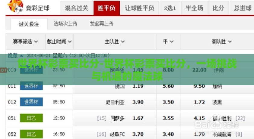 世界杯彩票买比分-世界杯彩票买比分，一场挑战与机遇的魔法球