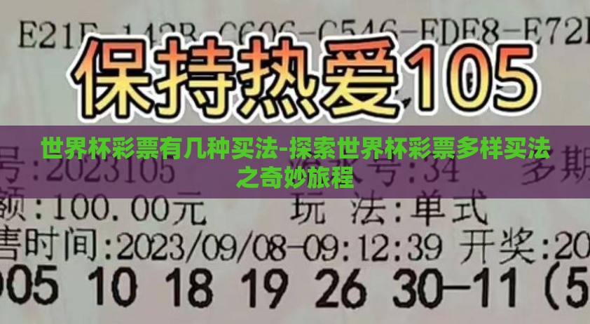世界杯彩票有几种买法-探索世界杯彩票多样买法之奇妙旅程