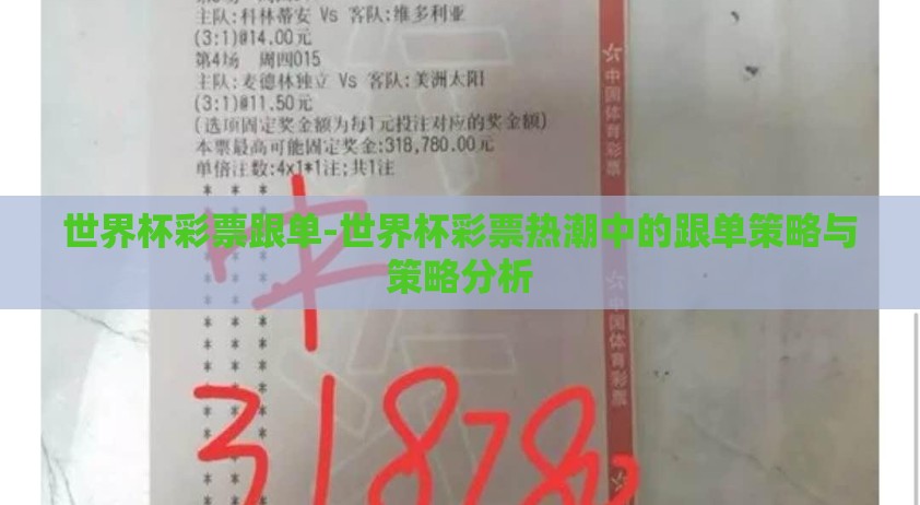 世界杯彩票跟单-世界杯彩票热潮中的跟单策略与策略分析