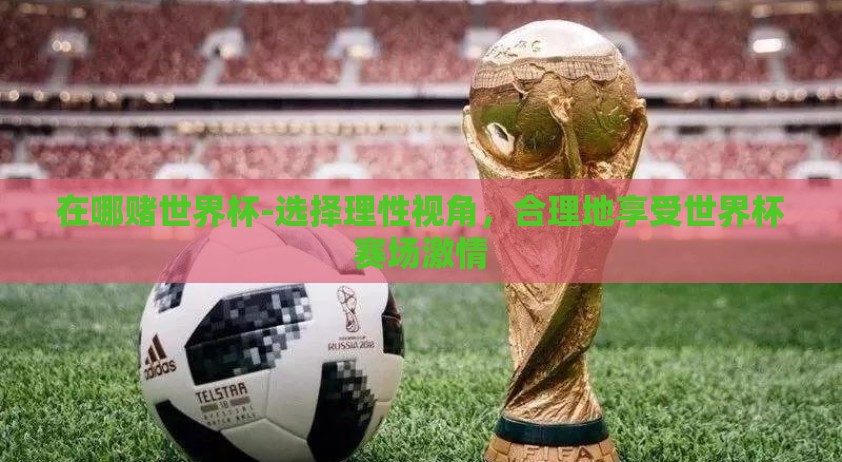在哪赌世界杯-选择理性视角，合理地享受世界杯赛场激情