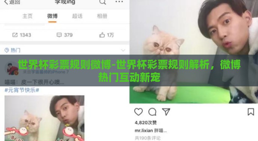 世界杯彩票规则微博-世界杯彩票规则解析，微博热门互动新宠