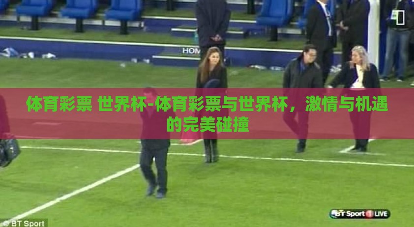 体育彩票 世界杯-体育彩票与世界杯，激情与机遇的完美碰撞