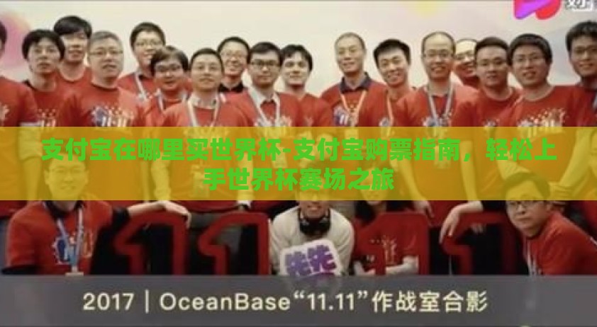 支付宝在哪里买世界杯-支付宝购票指南，轻松上手世界杯赛场之旅