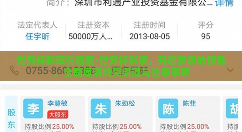 世界杯彩票在哪里-世界杯彩票，开启梦想的钥匙，全面厘清购买渠道与注意事项