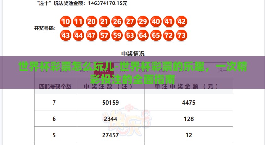 世界杯彩票怎么玩儿-世界杯彩票的乐趣，一次精彩投注的全面指南